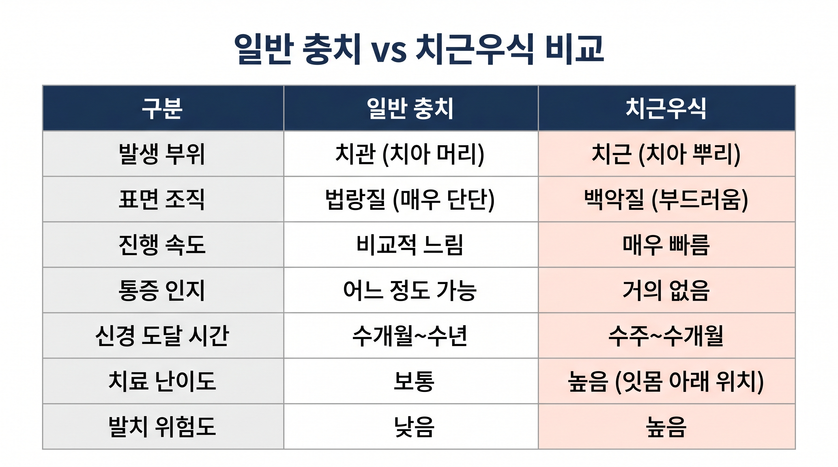 치근우식이 위험한 5가지 이유와 예방법 총정리 | 서울365치과 블로그 치근우식이 위험한 5가지 이유와 예방법 총정리