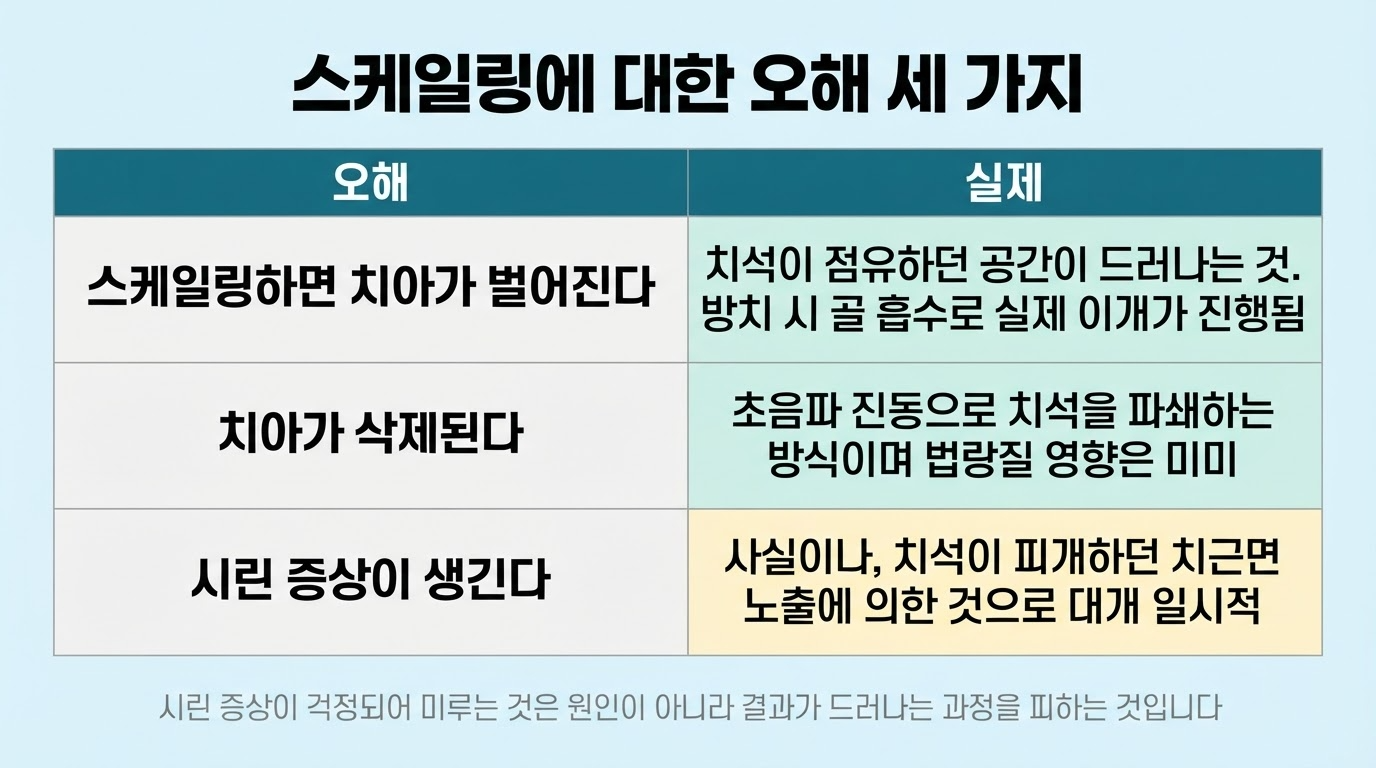 스케일링에 대한 오해 3가지