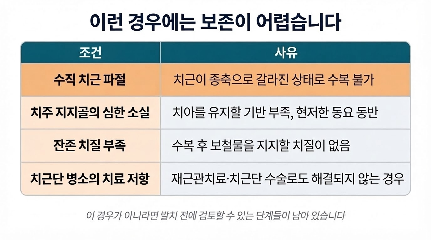자연치아 보존과 발치 — 판단 기준은 무엇인가