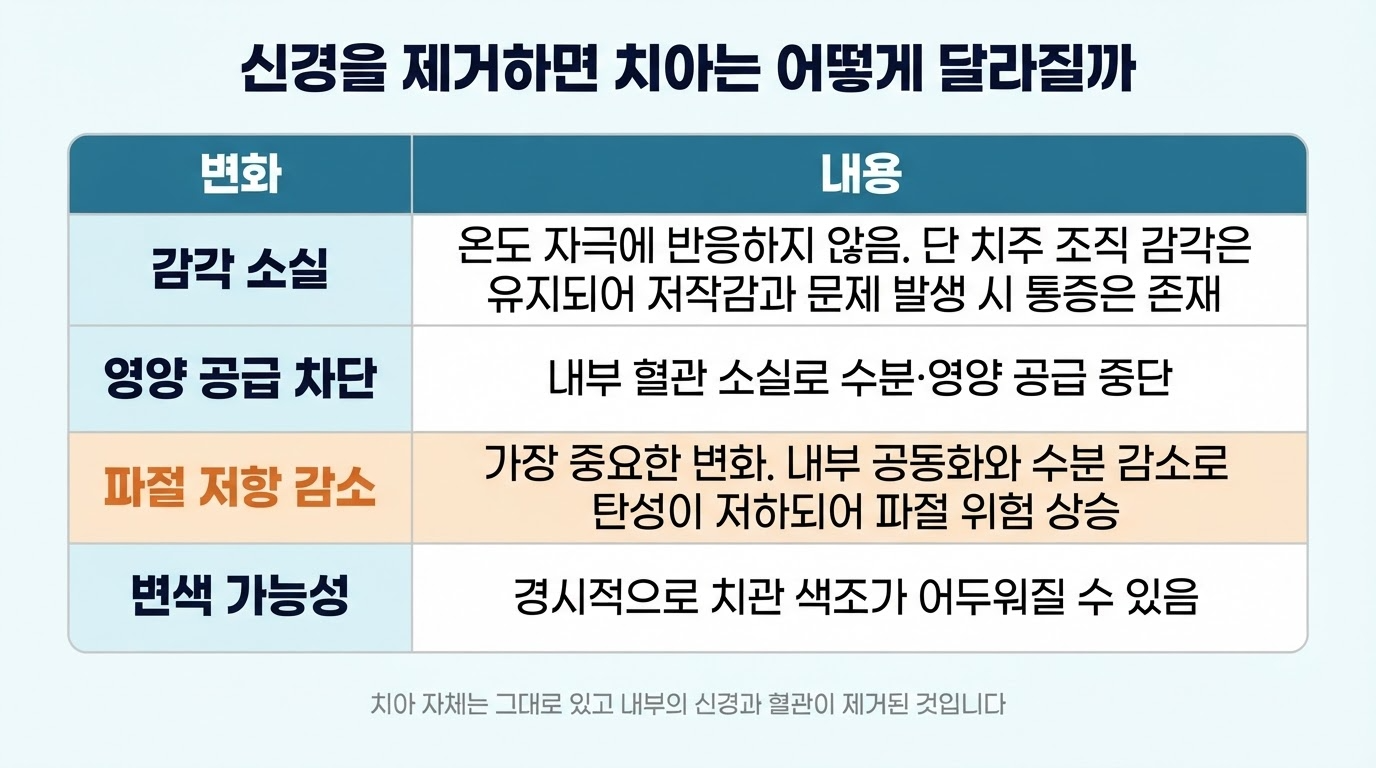 신경치료 후 치아의 변화